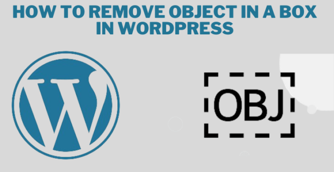 How to remove object in a box in WordPress