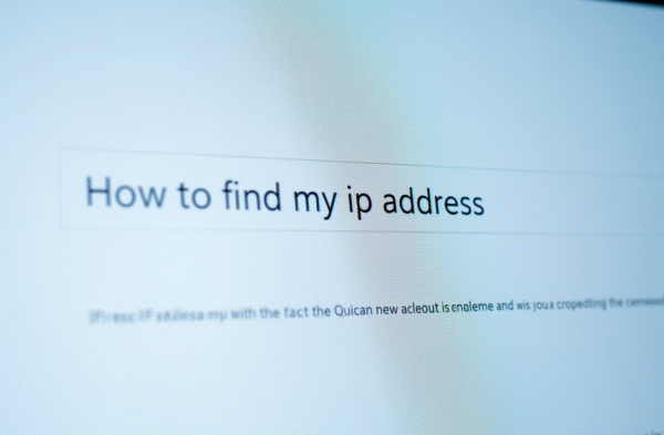 How to find my ip address
