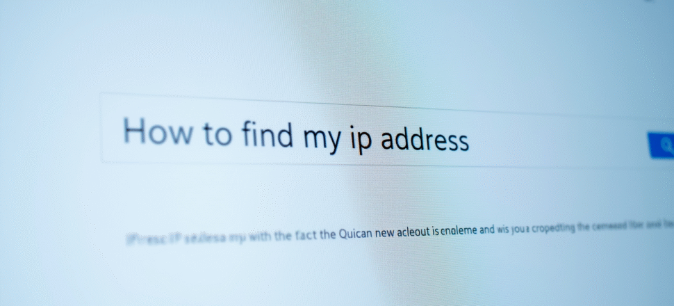 How to find my ip address
